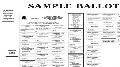 balot|ballot for 2020 election.